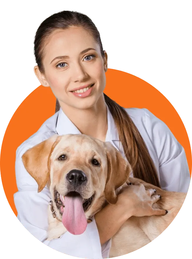 puppers pamper & play