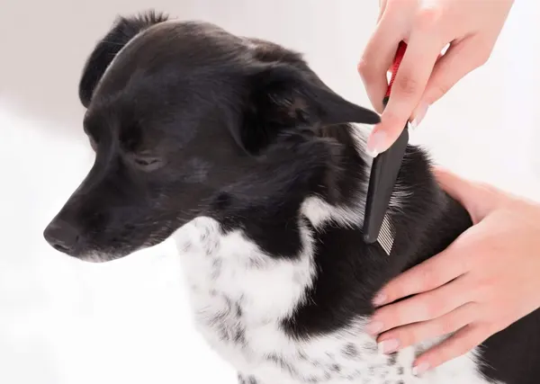 de-shedding